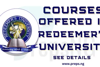 Courses Offered in Redeemer's University