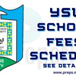 Yobe State University School Fees Schedule