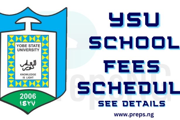 Yobe State University School Fees Schedule