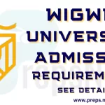 Wigwe University Admission Requirements