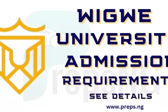 Wigwe University Admission Requirements