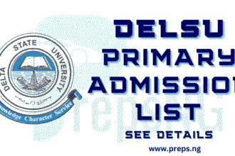 DELSU Admission List 2025/2026: Complete Guide to Checking Your Admission Status 19 DELSU Admission List